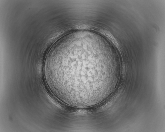 X0000111910441200908101204