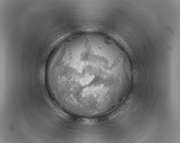 X0000111910442200908101204