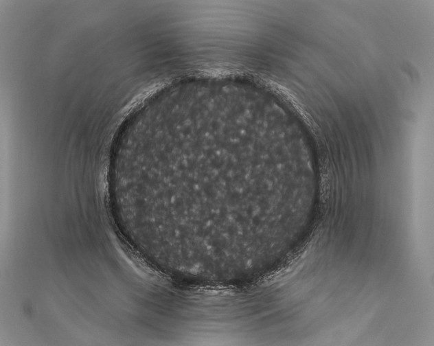 X0000111910443200908101204