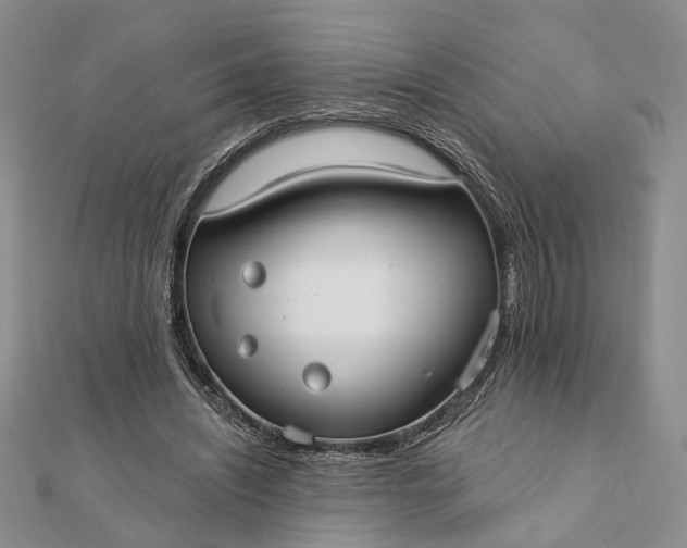 X0000111910444200908101204