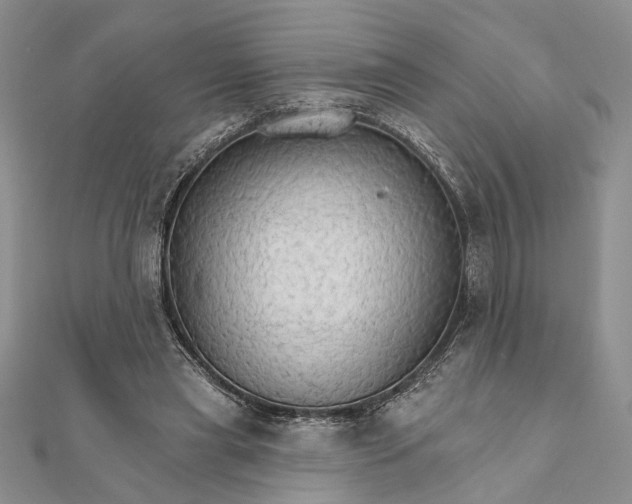 X0000111910445200908101204