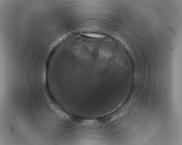 X0000111910446200908101204