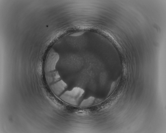 X0000111910447200908101204