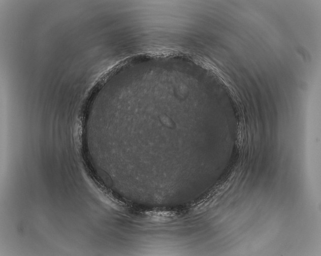 X0000111910448200908101204