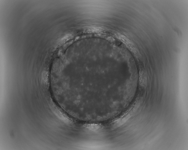 X0000111910449200908101204