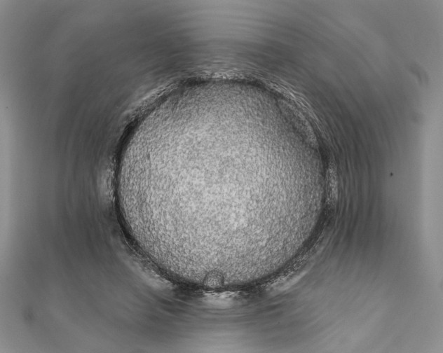 X0000111910450200908101204