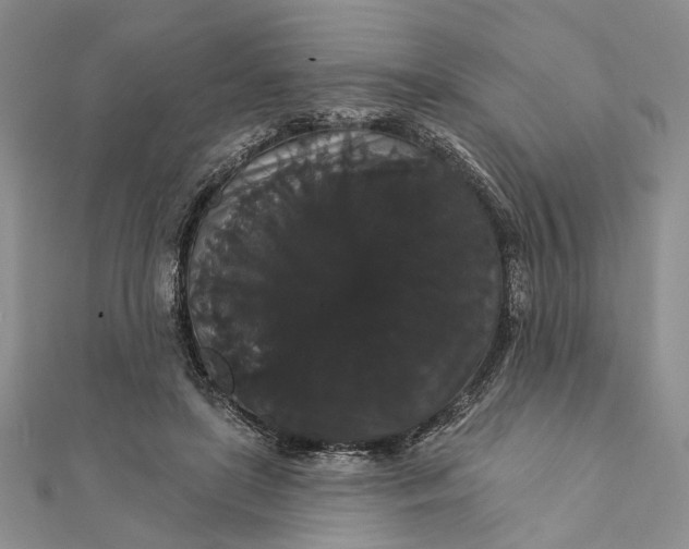 X0000111910451200908101204