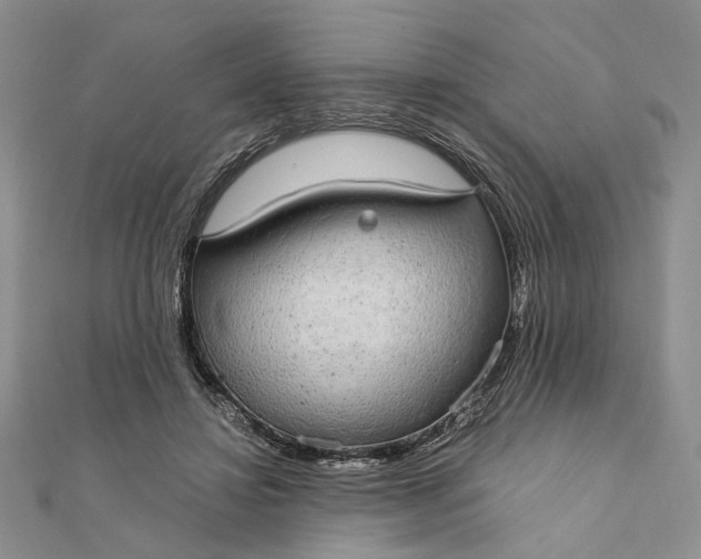 X0000111910452200908101204