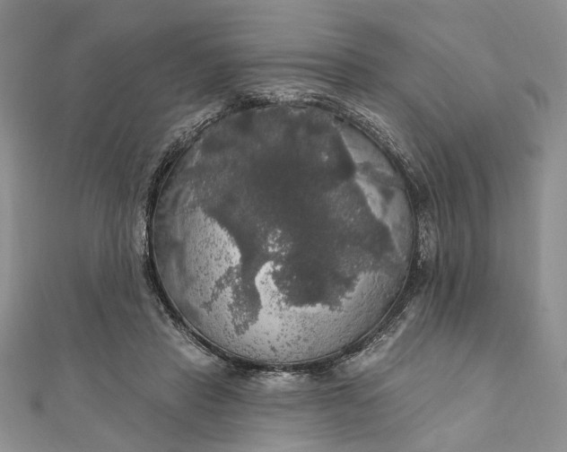 X0000111910453200908101204