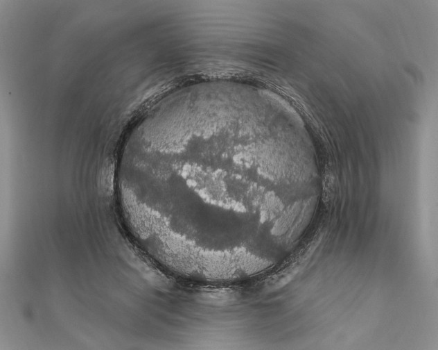 X0000111910454200908101204