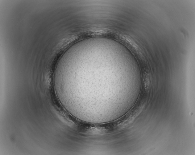 X0000111910455200908101204