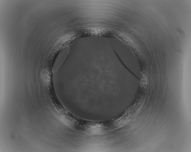 X0000111910456200908101204