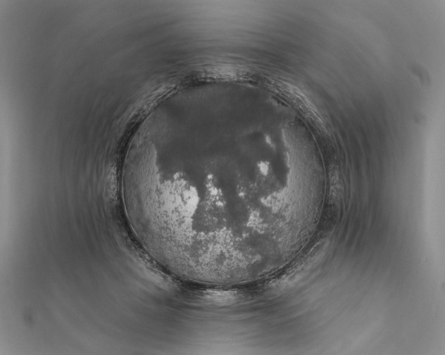 X0000111910457200908101204