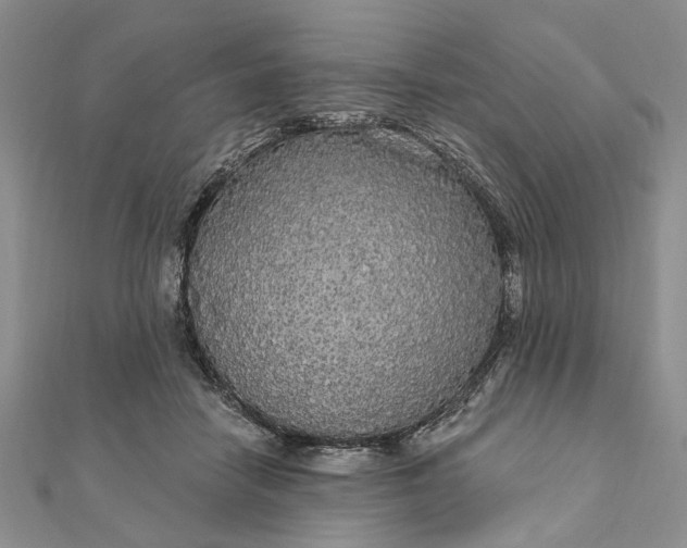 X0000111910458200908101204