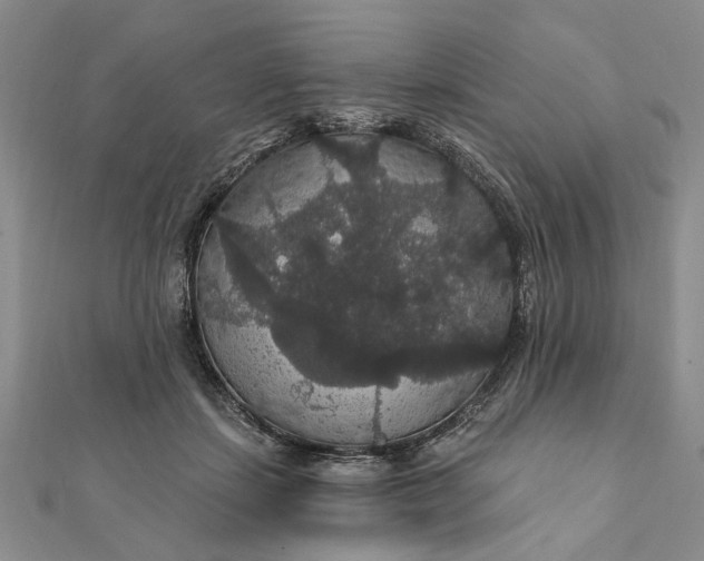 X0000111910459200908101204