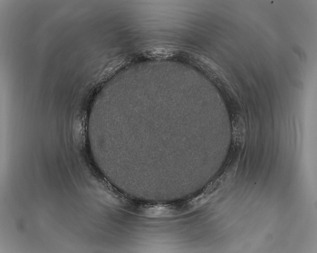 X0000111910460200908101204