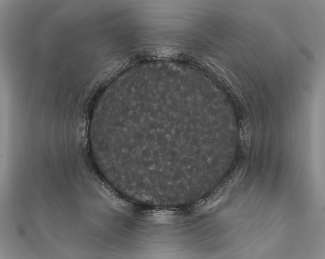 X0000111910462200908101204