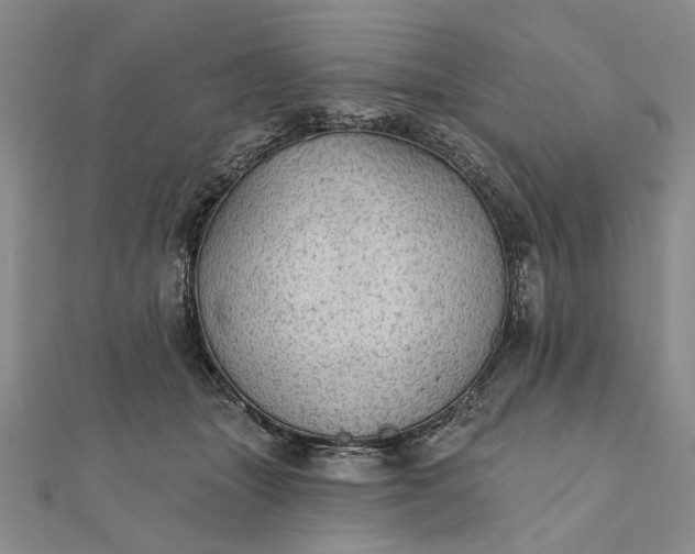 X0000111910463200908101204