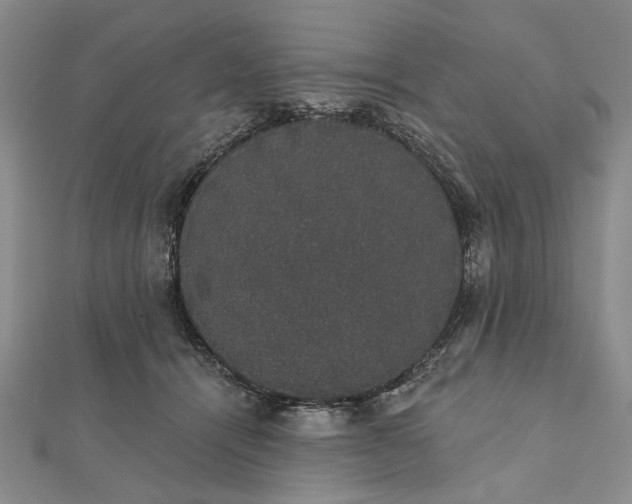 X0000111910464200908101204