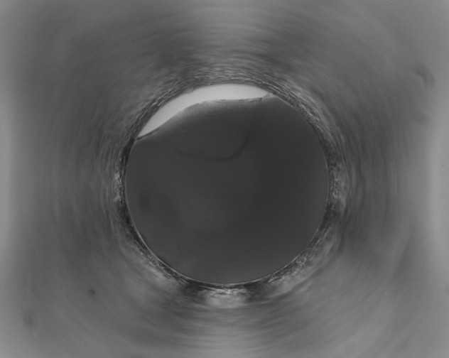 X0000111910465200908101204