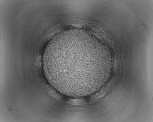 X0000111910466200908101204