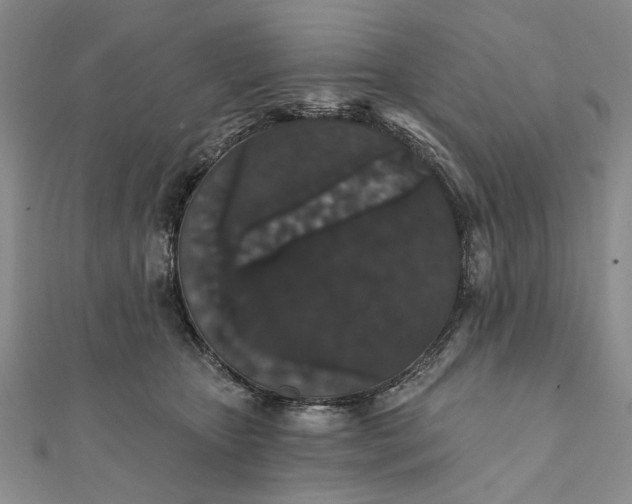 X0000111910467200908101204