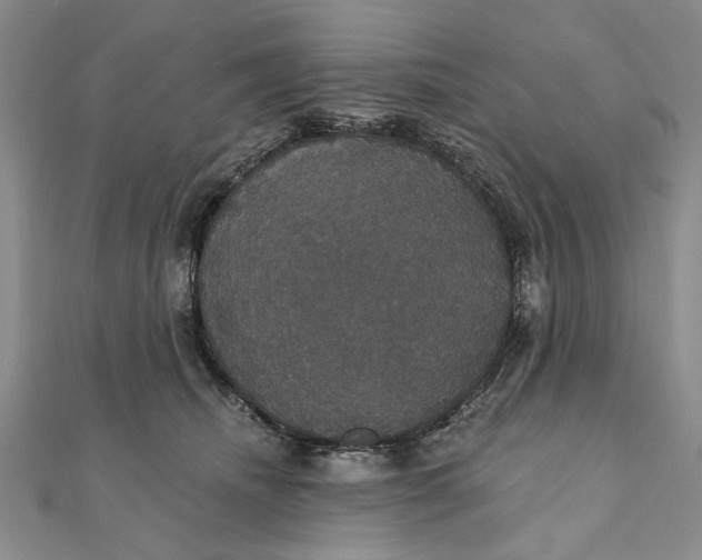 X0000111910468200908101204