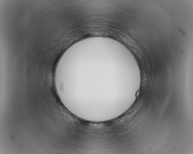 X0000111910469200908101204