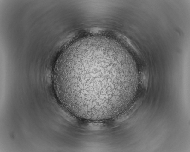 X0000111910470200908101204