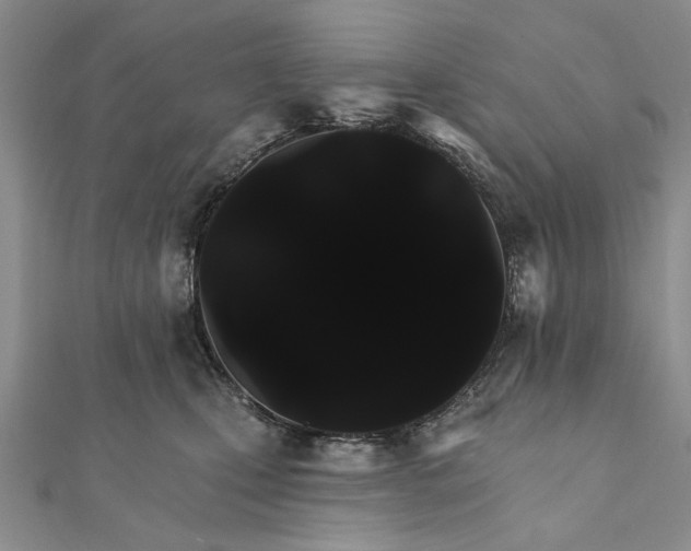 X0000111910471200908101204