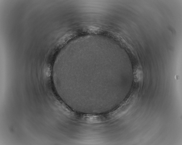 X0000111910472200908101204