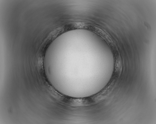 X0000111910473200908101204