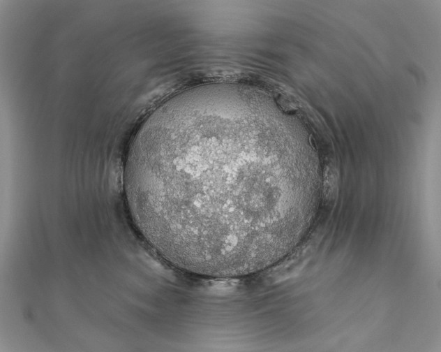 X0000111910474200908101204