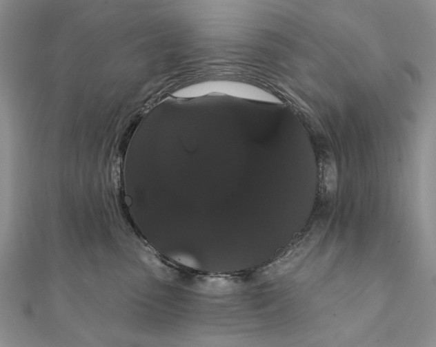 X0000111910475200908101204