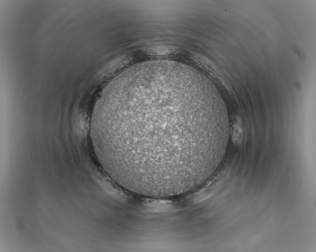 X0000111910476200908101205