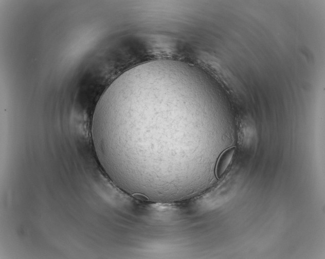 X0000111910477200908101205