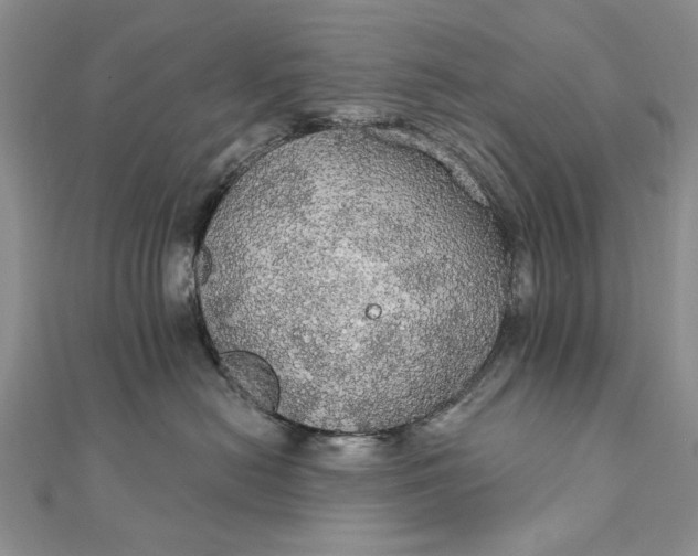 X0000111910478200908101205