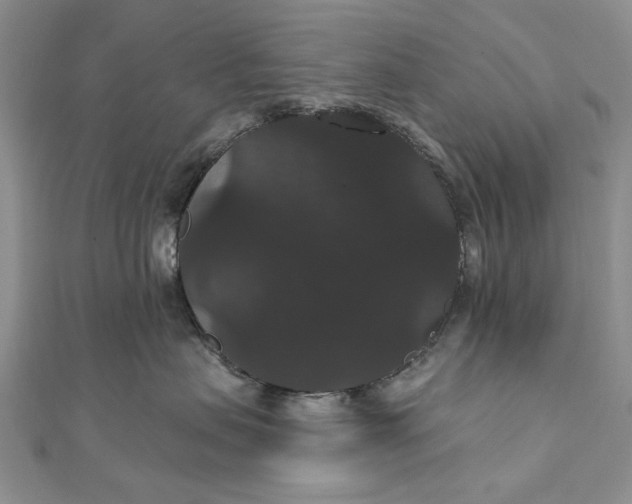 X0000111910479200908101205