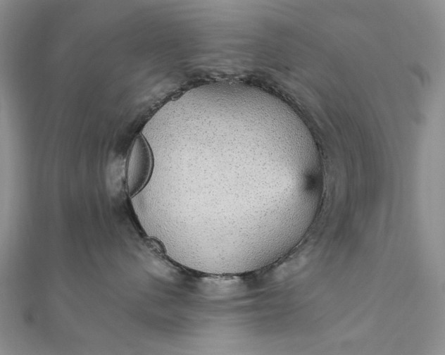 X0000111910480200908101205