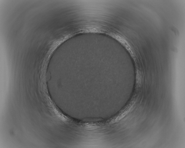 X0000111910481200908101204