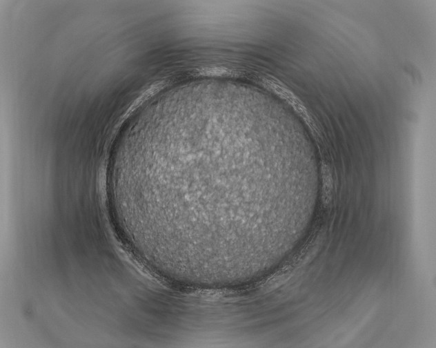 X0000111910482200908101204