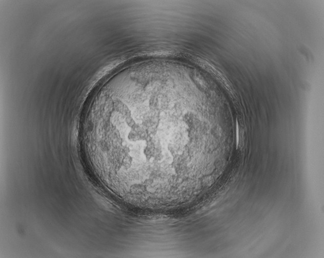 X0000111910483200908101204