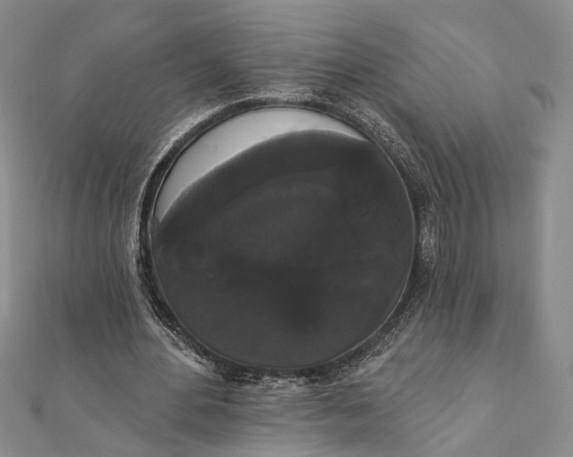 X0000111910484200908101204