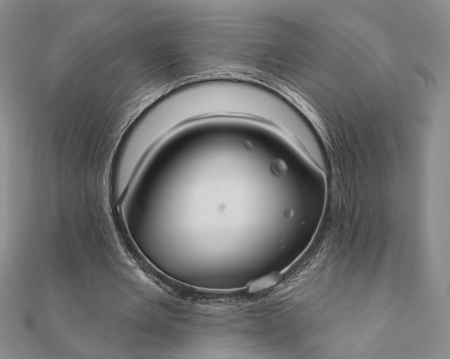 X0000111910485200908101204