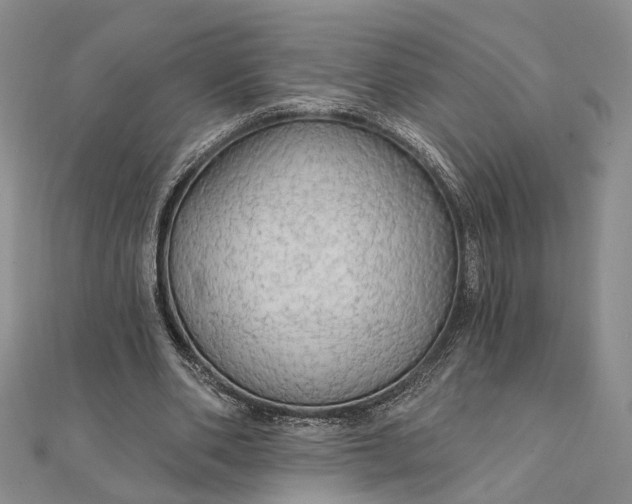 X0000111910486200908101204