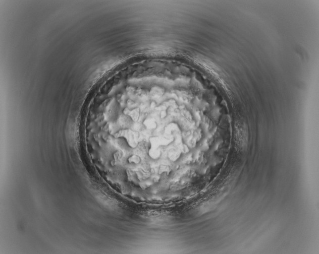 X0000111910487200908101204