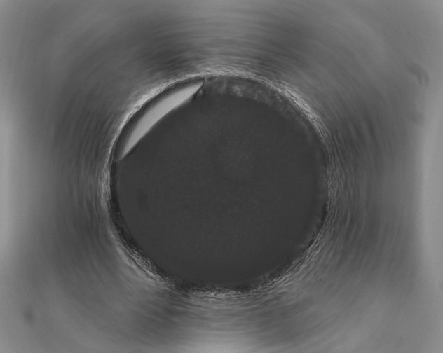 X0000111910488200908101204