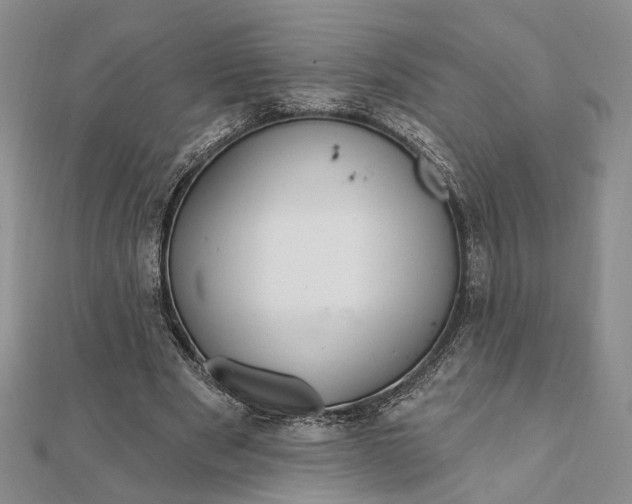 X0000111910489200908101204