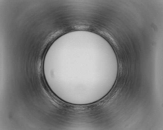 X0000111910490200908101204