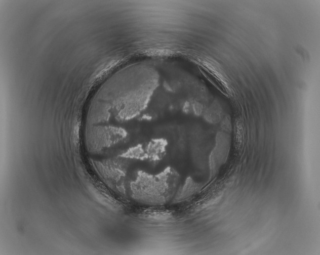 X0000111910491200908101204